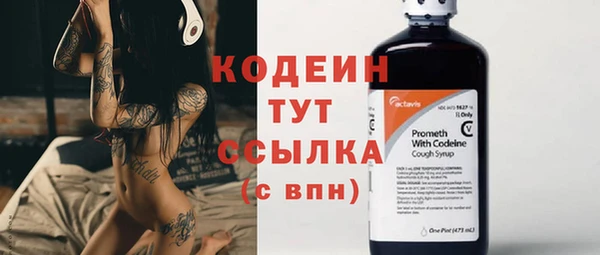прущие грибы Горно-Алтайск