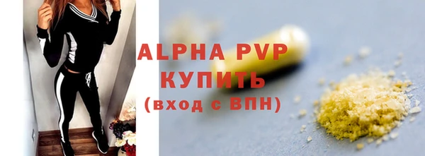 прущие грибы Горно-Алтайск