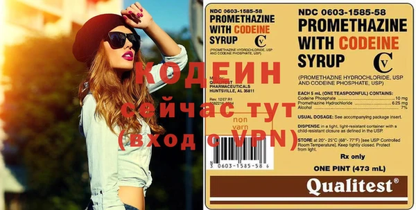 стаф Туринск