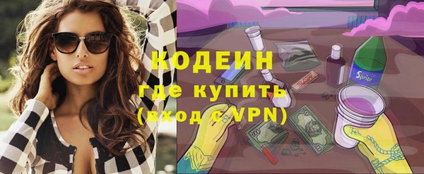 прущие грибы Горно-Алтайск
