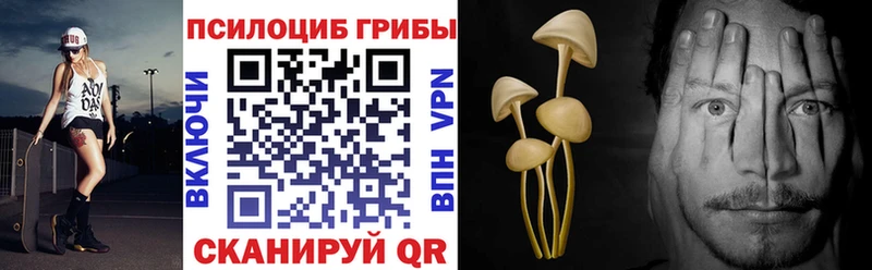 blacksprut tor  darknet какой сайт  Псилоцибиновые грибы мицелий  Ржев 