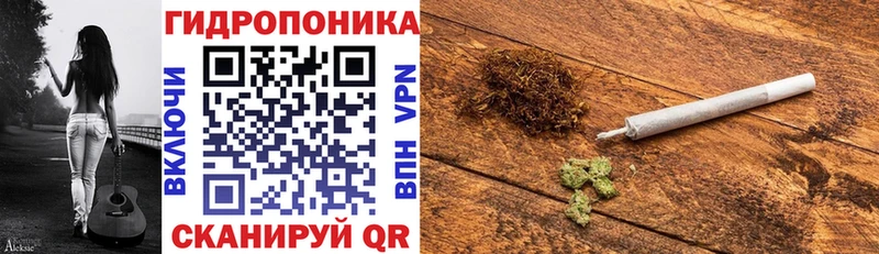 наркота мега зеркало Каннабис конопля Ржев